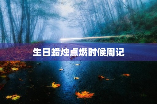 生日蜡烛点燃时候周记