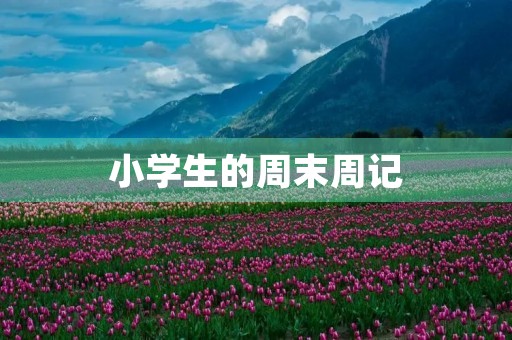 小学生的周末周记 小学生的周末周记
