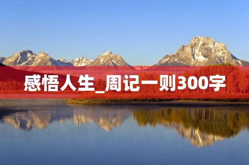 感悟人生_周记一则300字