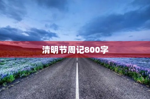 清明节周记800字 清明节周记800字