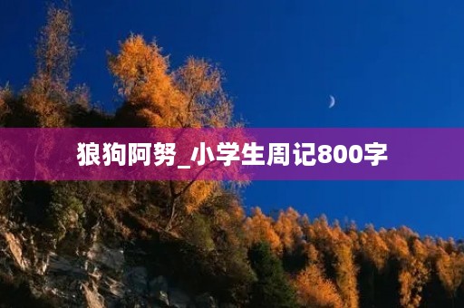狼狗阿努_小学生周记800字 狼狗阿努_小学生周记800字
