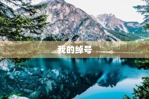 我的绰号 我的绰号