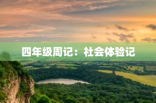 四年级周记：社会体验记