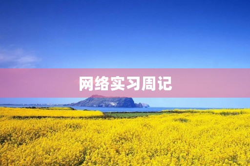 网络实习周记 网络实习周记