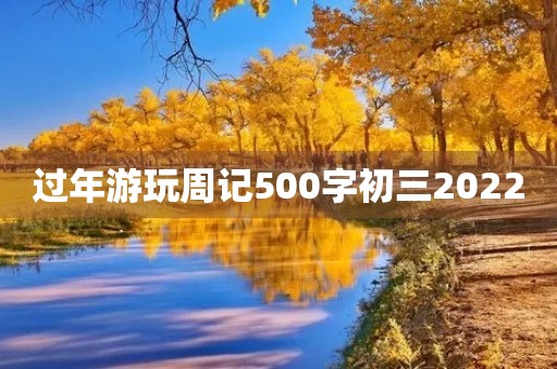 过年游玩周记500字初三2022