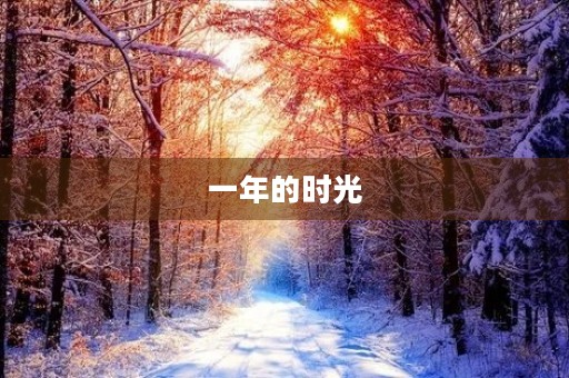 一年的时光