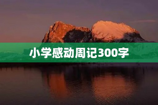 小学感动周记300字