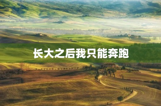 长大之后我只能奔跑