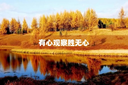 有心观察胜无心 有心观察胜无心