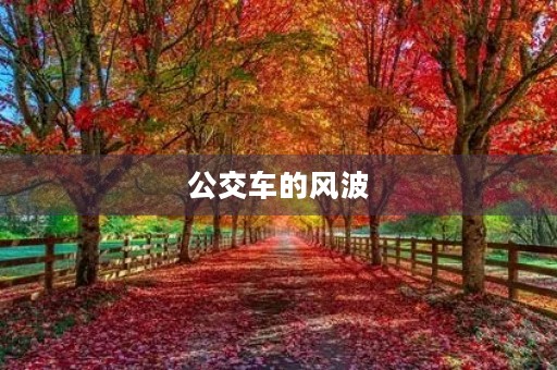 公交车的风波 公交车的风波
