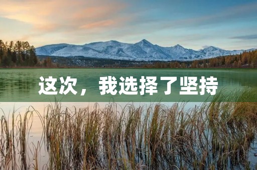 这次，我选择了坚持