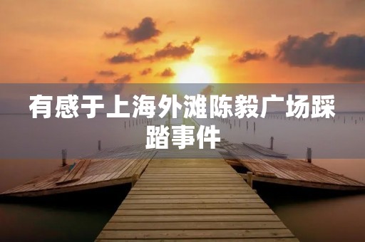 有感于上海外滩陈毅广场踩踏事件 有感于上海外滩陈毅广场踩踏事件