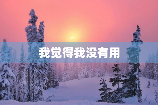 我觉得我没有用 我觉得我没有用