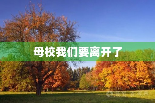 母校我们要离开了