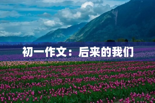 初一作文：后来的我们