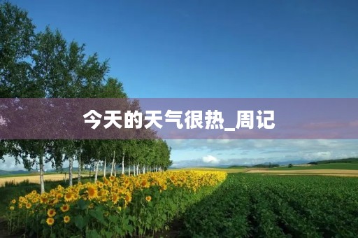 今天的天气很热_周记
