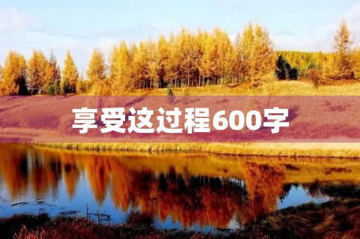 享受这过程600字 享受这过程600字
