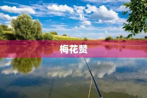梅花赞 梅花赞