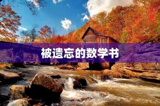 被遗忘的数学书 被遗忘的数学书
