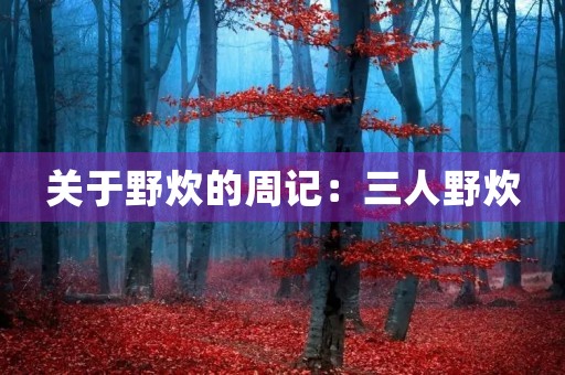 关于野炊的周记：三人野炊
