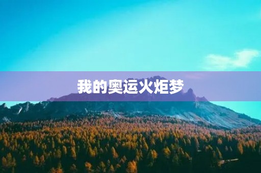 我的奥运火炬梦 我的奥运火炬梦
