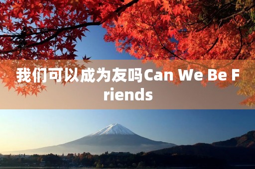 我们可以成为友吗Can We Be Friends 我们可以成为友吗Can We Be Friends