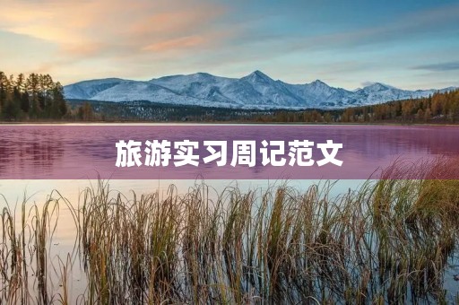 旅游实习周记范文