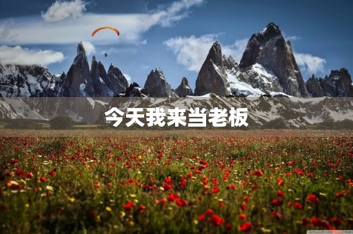 今天我来当老板 今天我来当老板