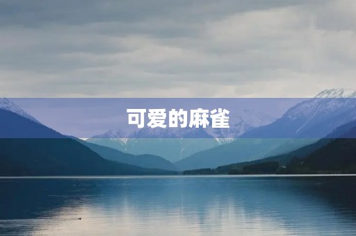 可爱的麻雀 可爱的麻雀