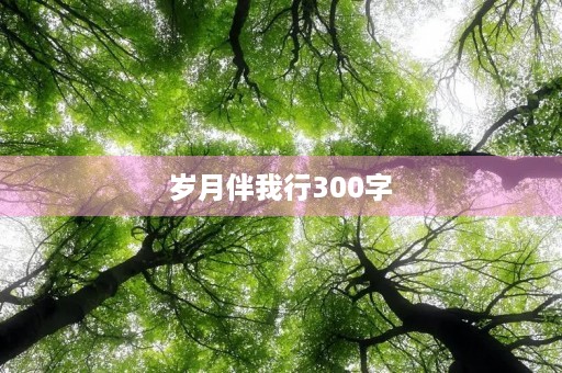 岁月伴我行300字 岁月伴我行300字