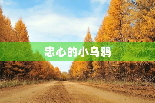 忠心的小乌鸦
