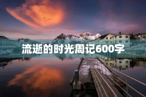 流逝的时光周记600字