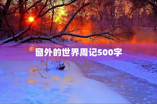 窗外的世界周记500字 窗外的世界周记500字