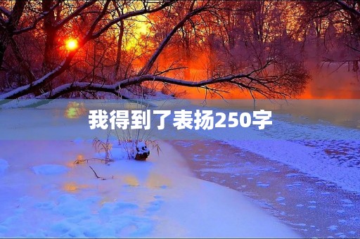 我得到了表扬250字 我得到了表扬250字