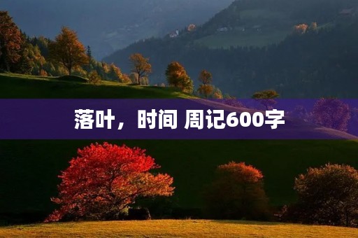 落叶,时间 周记600字 落叶,时间 周记600字
