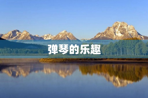 弹琴的乐趣 弹琴的乐趣