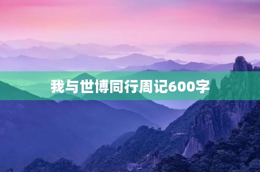 我与世博同行周记600字