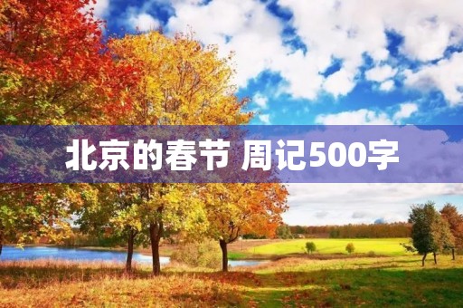 北京的春节 周记500字