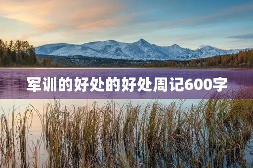 军训的好处的好处周记600字