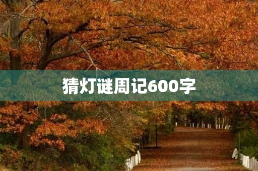 猜灯谜周记600字
