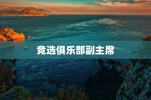 竞选俱乐部副主席 竞选俱乐部副主席