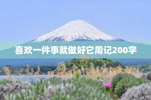 喜欢一件事就做好它周记200字