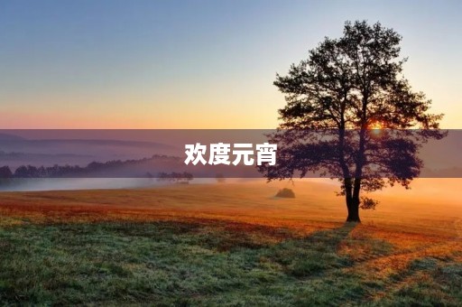 欢度元宵 欢度元宵