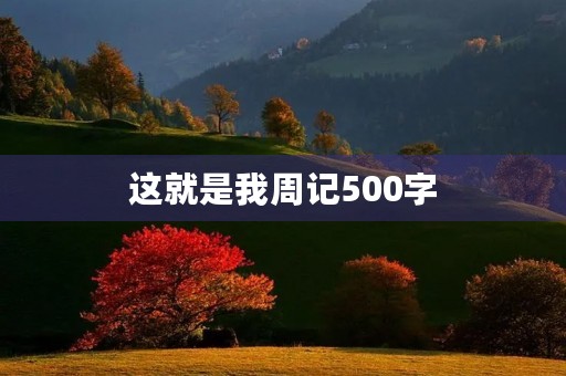 这就是我周记500字 这就是我周记500字
