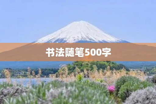 书法随笔500字