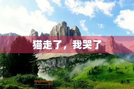 猫走了,我哭了 猫走了,我哭了