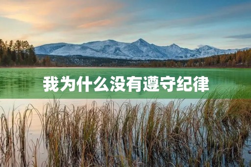 我为什么没有遵守纪律 我为什么没有遵守纪律