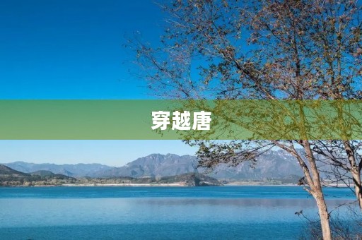 穿越唐 穿越唐