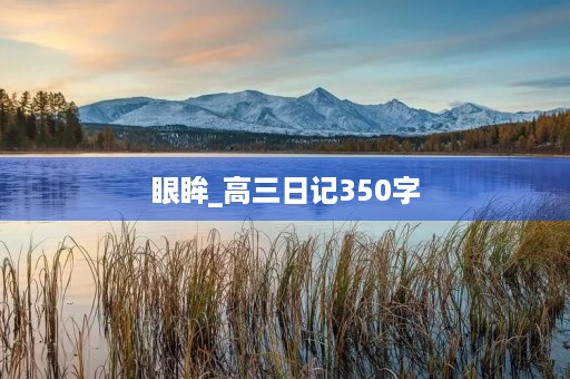 眼眸_高三日记350字 眼眸_高三日记350字