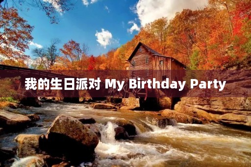 我的生日派对 My Birthday Party